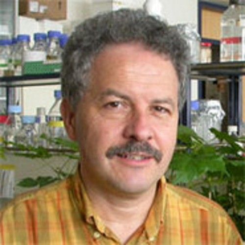 Jean-Marc Neuhaus, Prof. Dr.